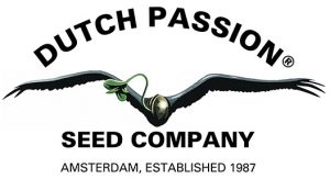 Dutch Passion Seed Company Cannabis Breeders