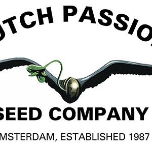 Dutch Passion