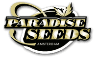 Paradise Seeds High Quality Organic Cannabis Genetics