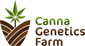 Canna genetics farm cannabis seeds