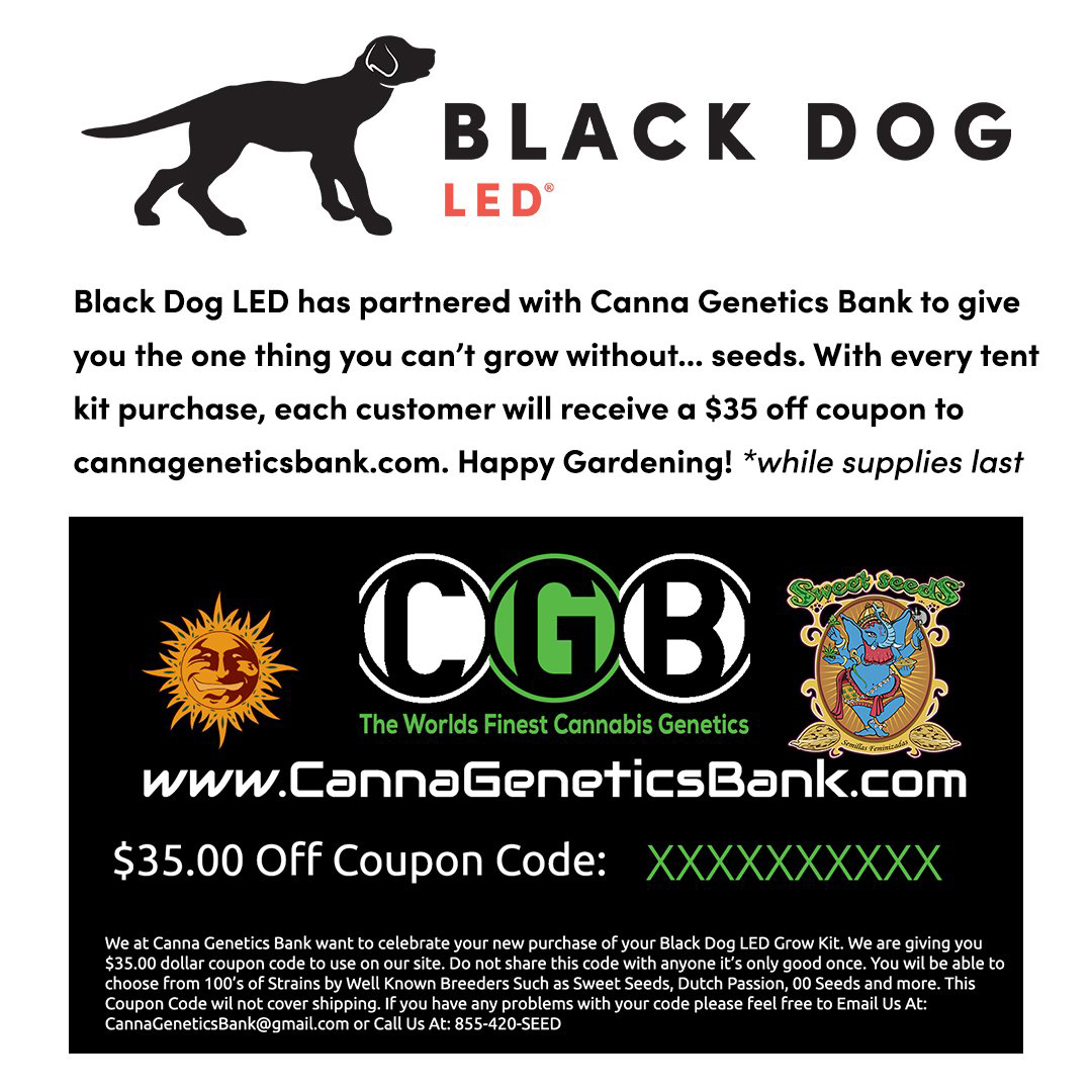 Black dog led and canna genetics bank promotion