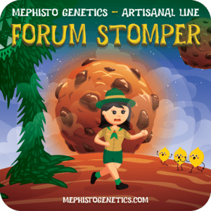 Forum Stomper Cannabis Seeds