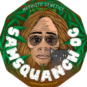 Samsquanch OG Cannabis Seeds