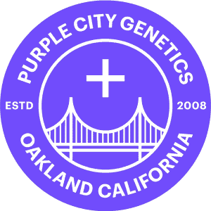 Purple City Genetics Cannabis Seeds