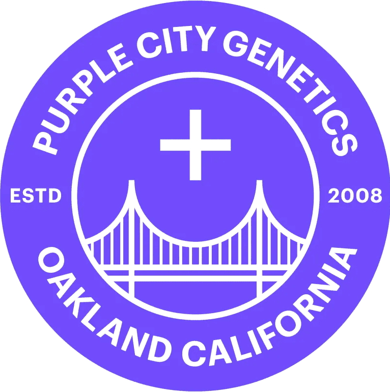 Purple City Genetics Cannabis Seeds